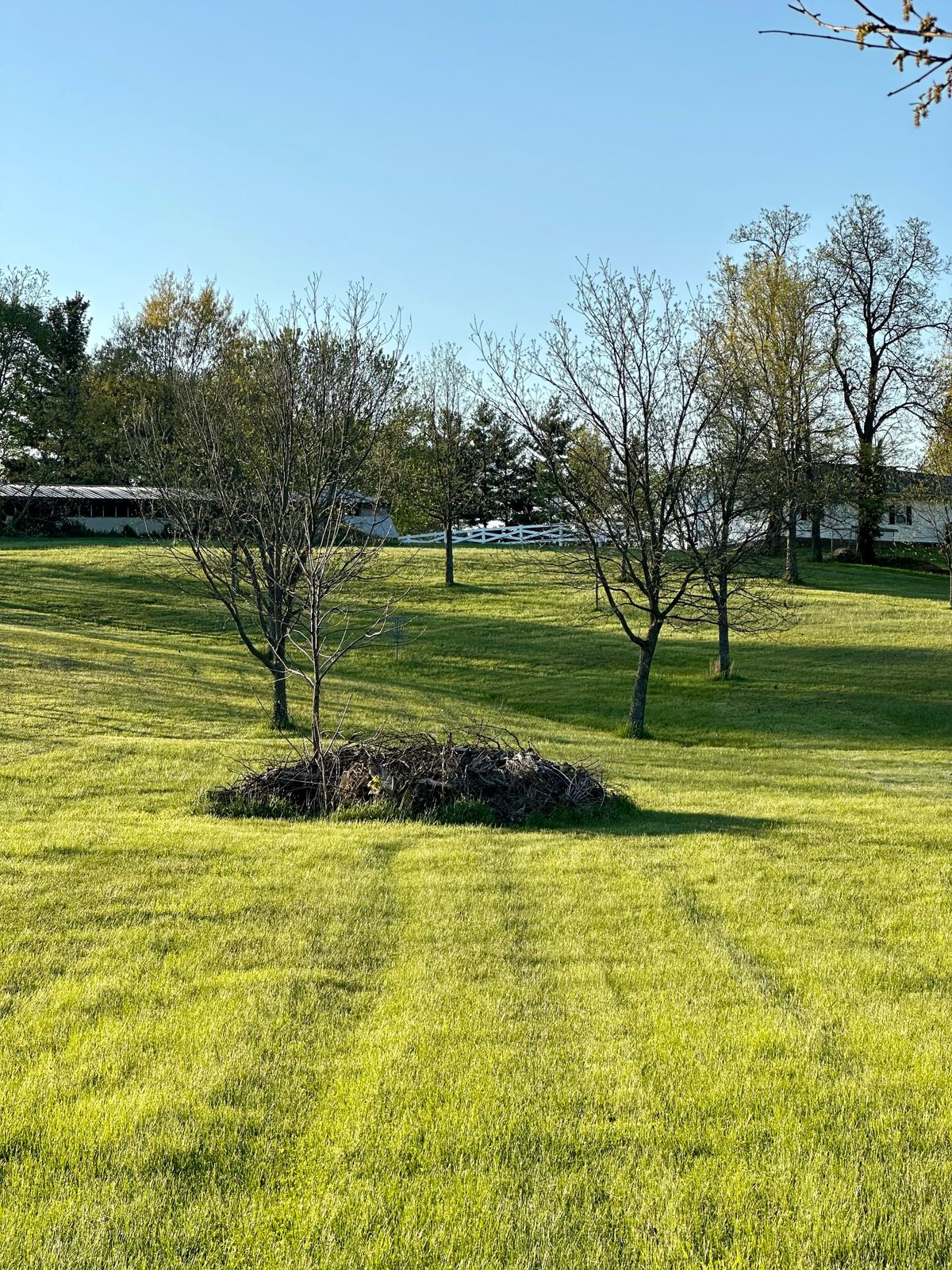 Hole 5 from the tee.