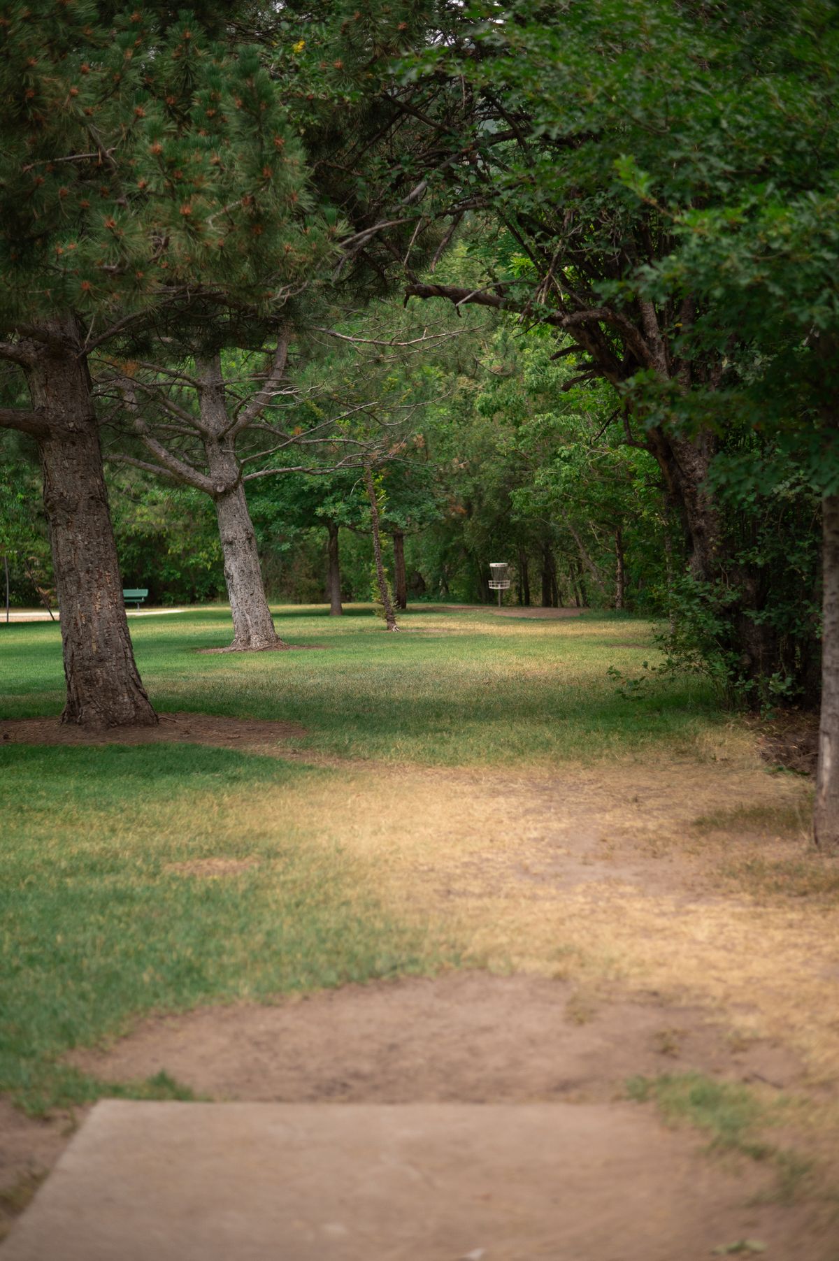 Hole 2 2025