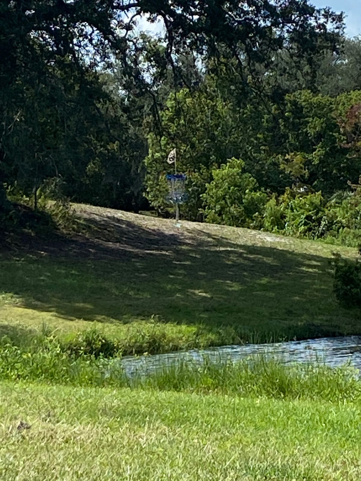 Hole 7 basket. View from the pad.