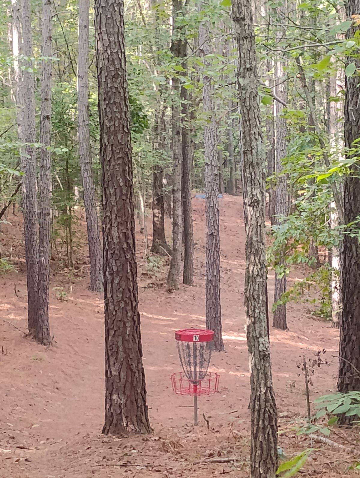Looking back at Hole 10