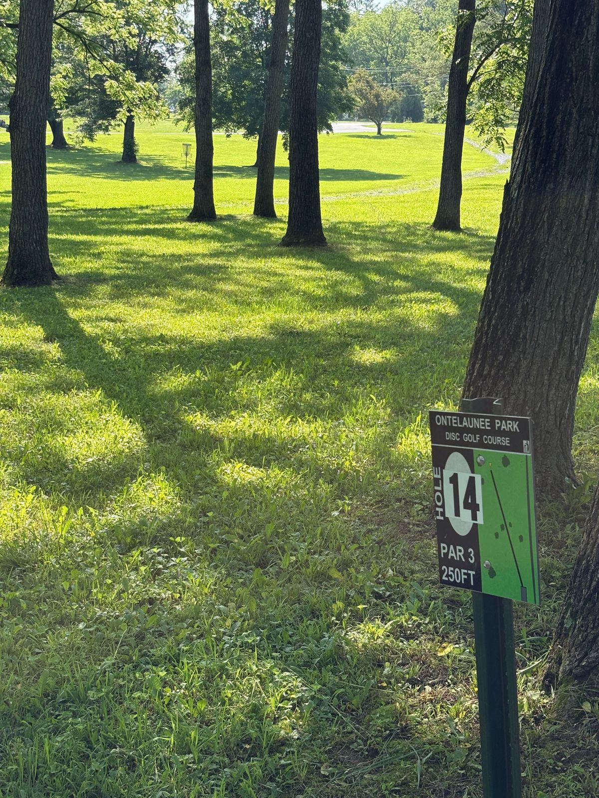 14th tee