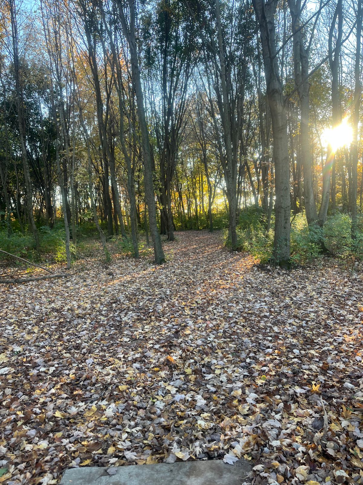 Hole 2 tee