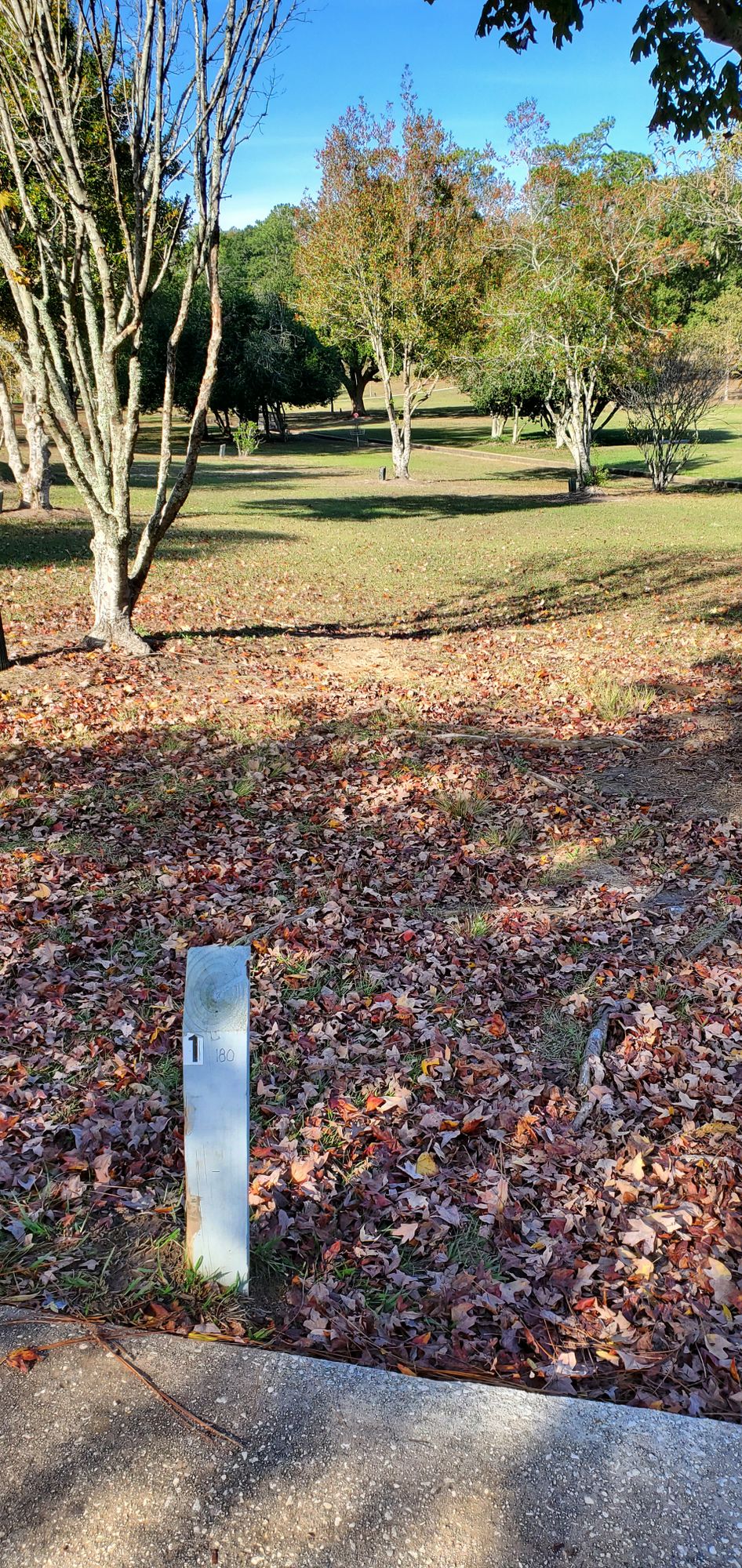 Hole 1, par 3