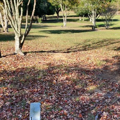 Hole 1, par 3