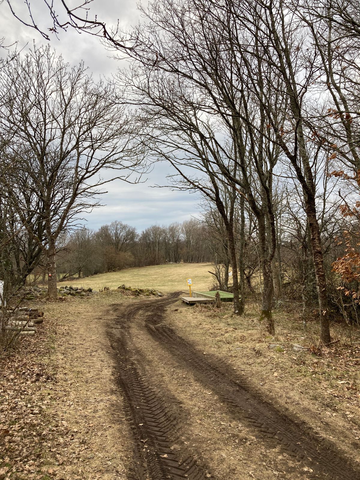 Omgjorda hål 7 (fd hål 8) som nu spelas som långt par 3.