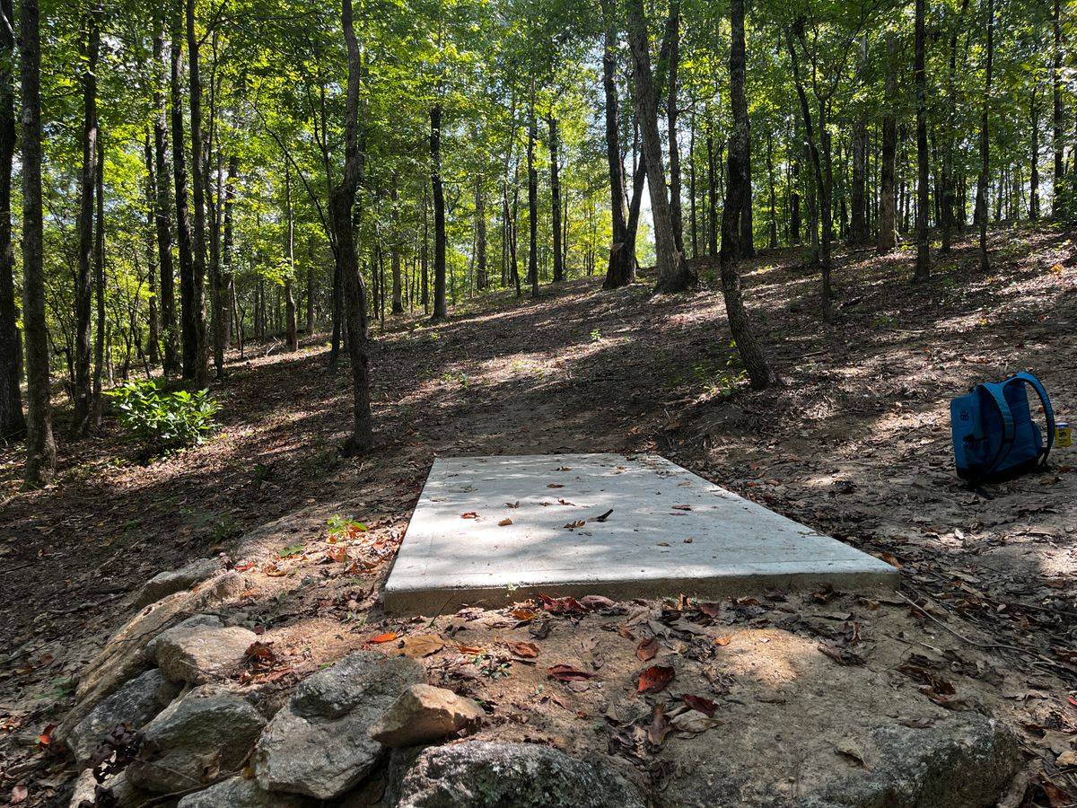Hole 14 tee box