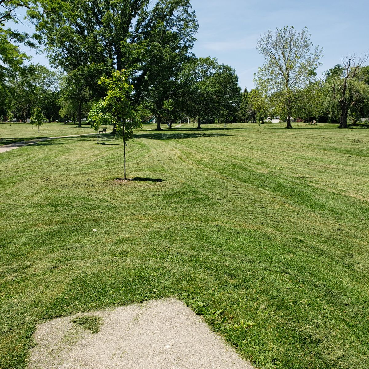 Hole 6