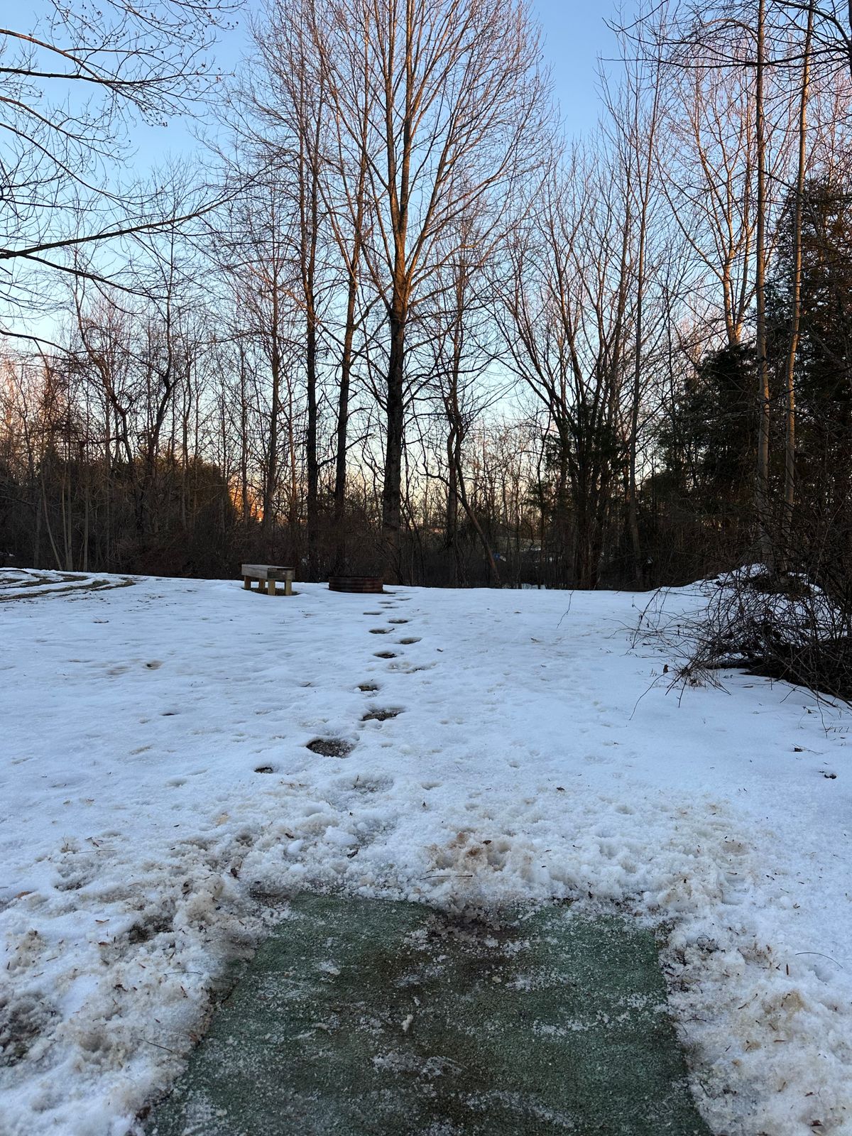 Hole 12 tee pad