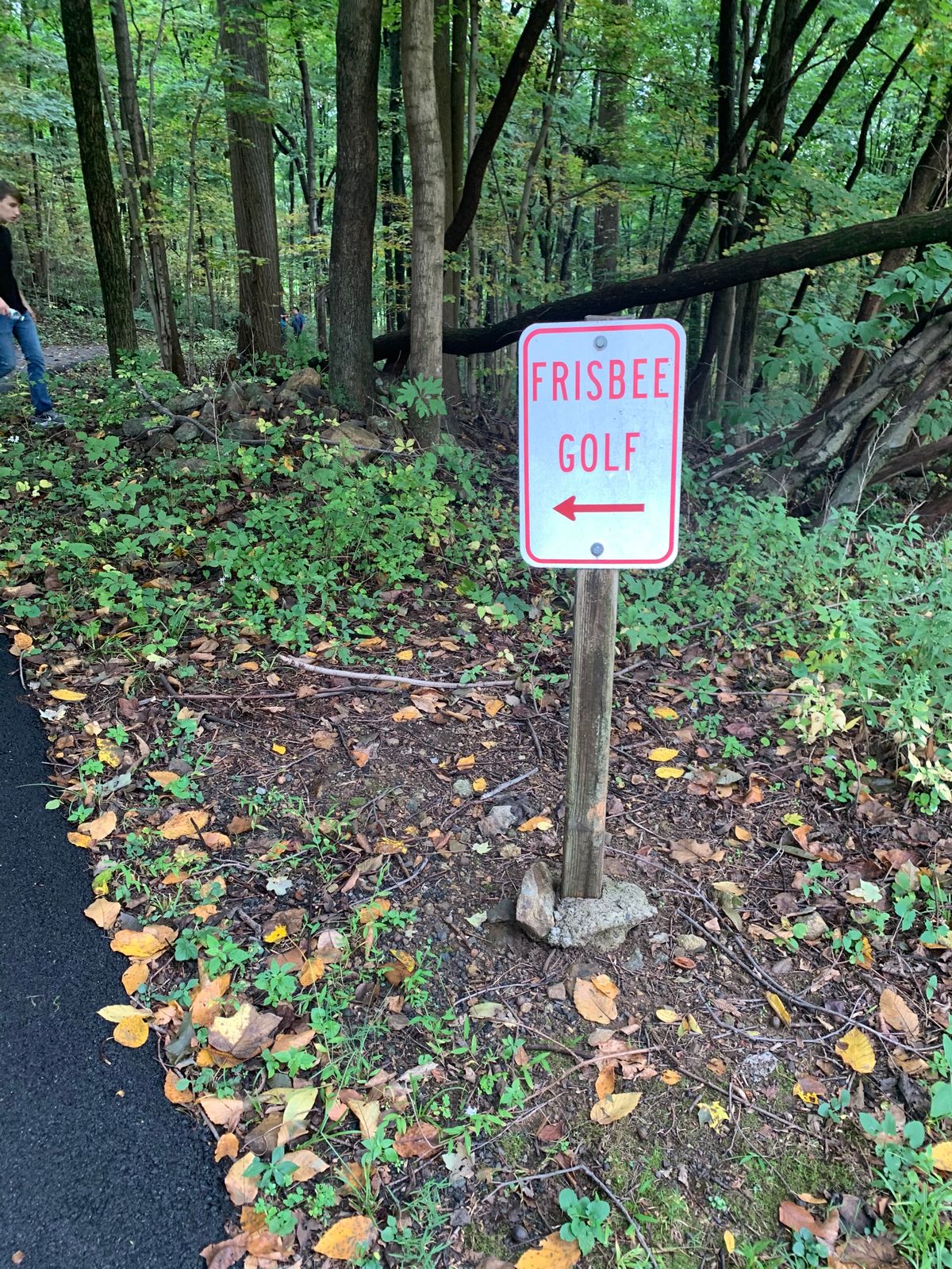 The path to the course
