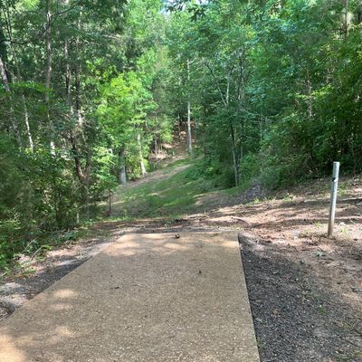 Hole 3.  Basket up to the right