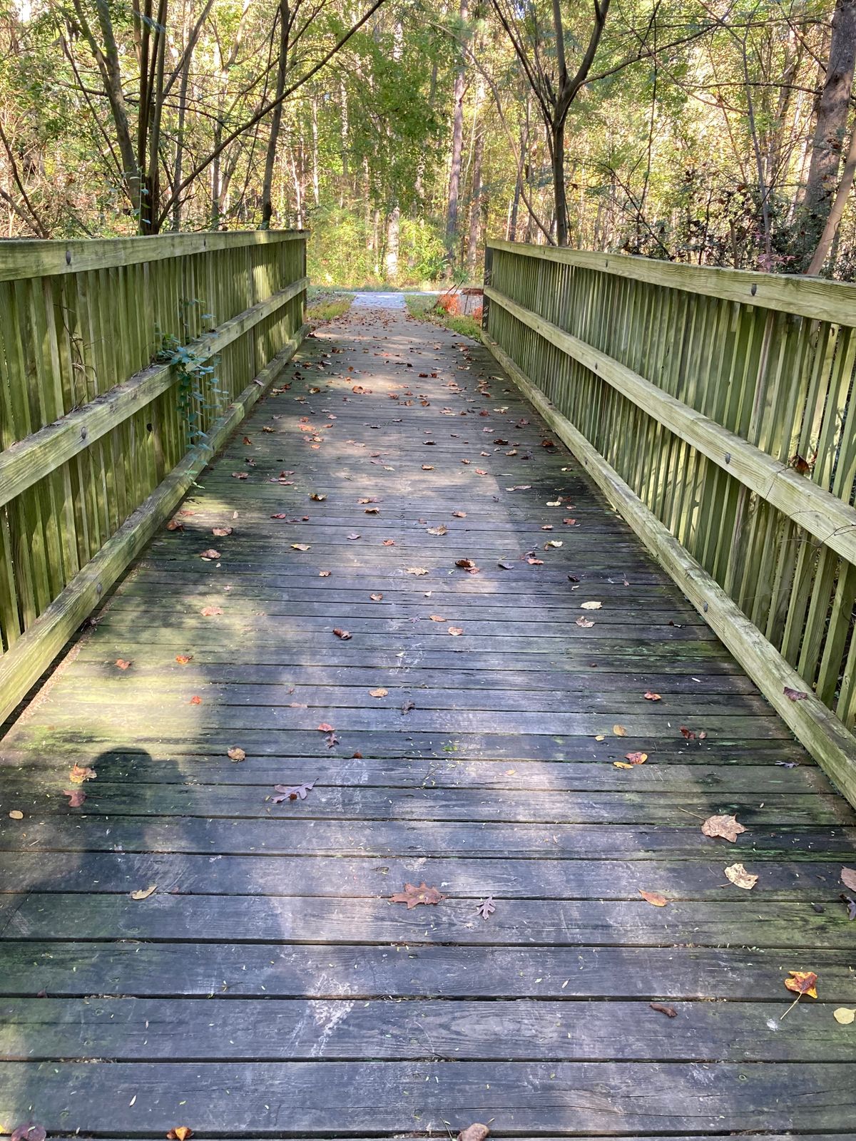 Bridge to tee pad 5. Tee pad in in woods slightly left and across walk path of bridge.