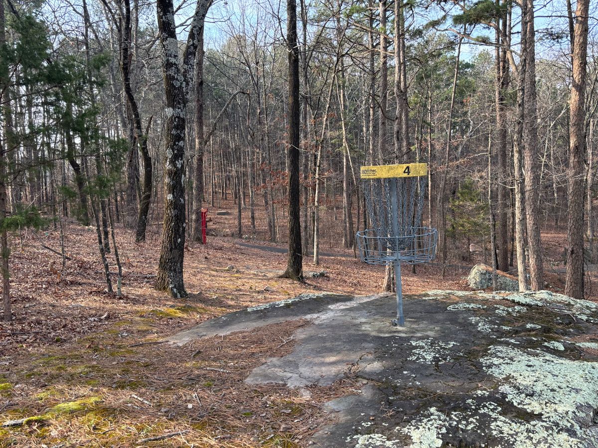 Basket on a rock formation