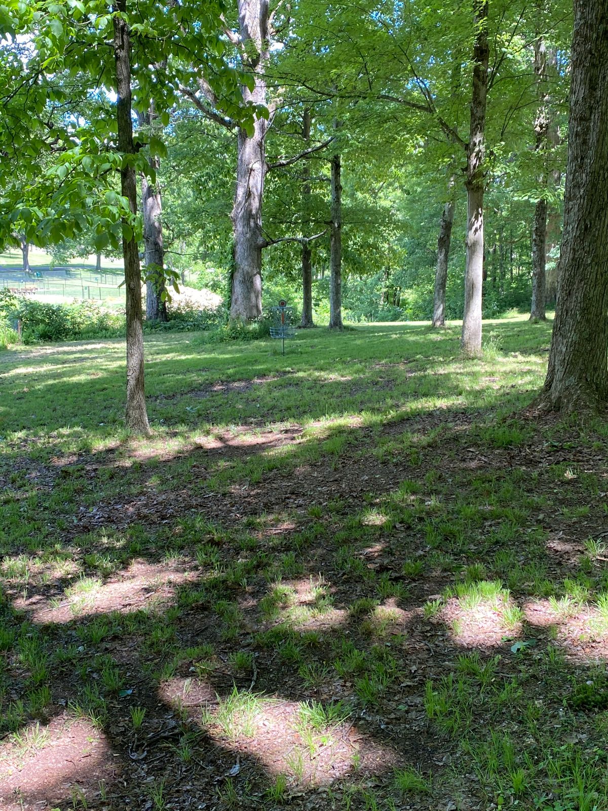 Hole 9 approach