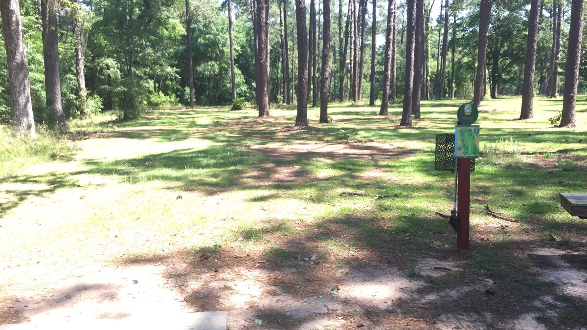 Hole 5