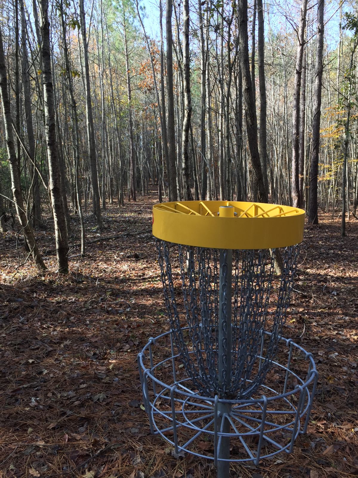 Hole #9 Basket to Tee