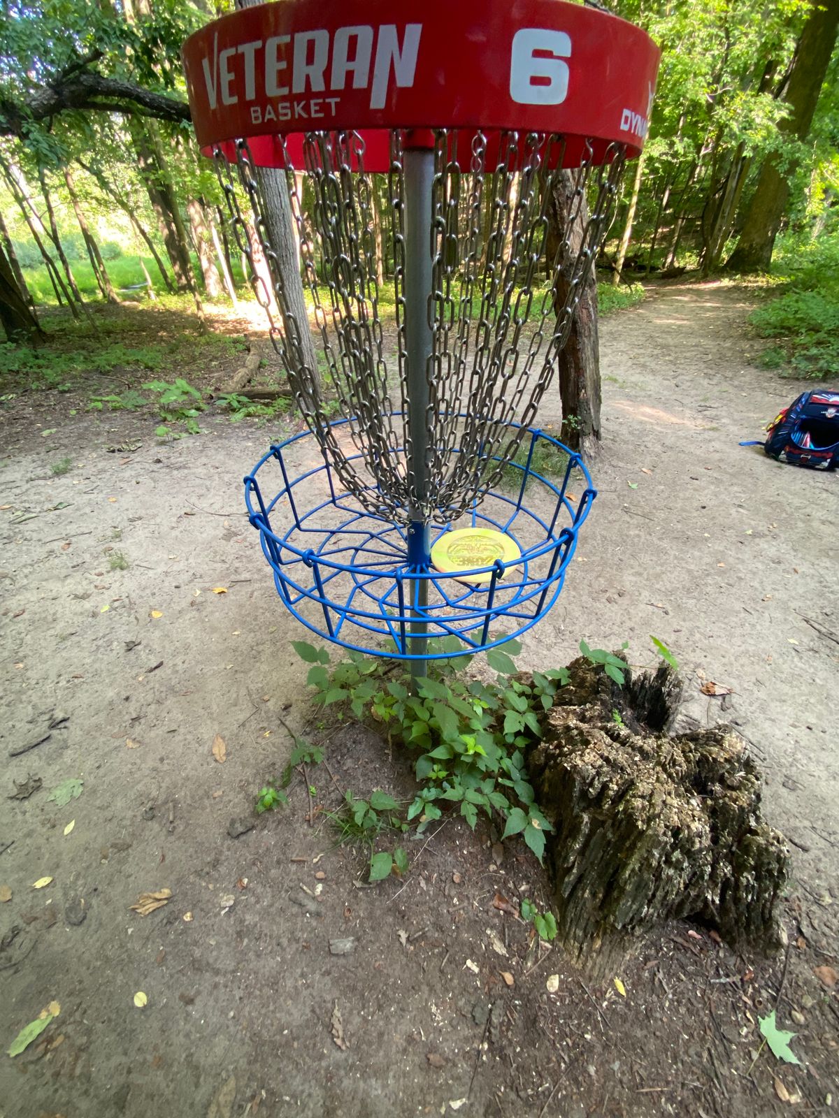 That is poison ivy growing on the basket of six. There is a lot through the course look out.