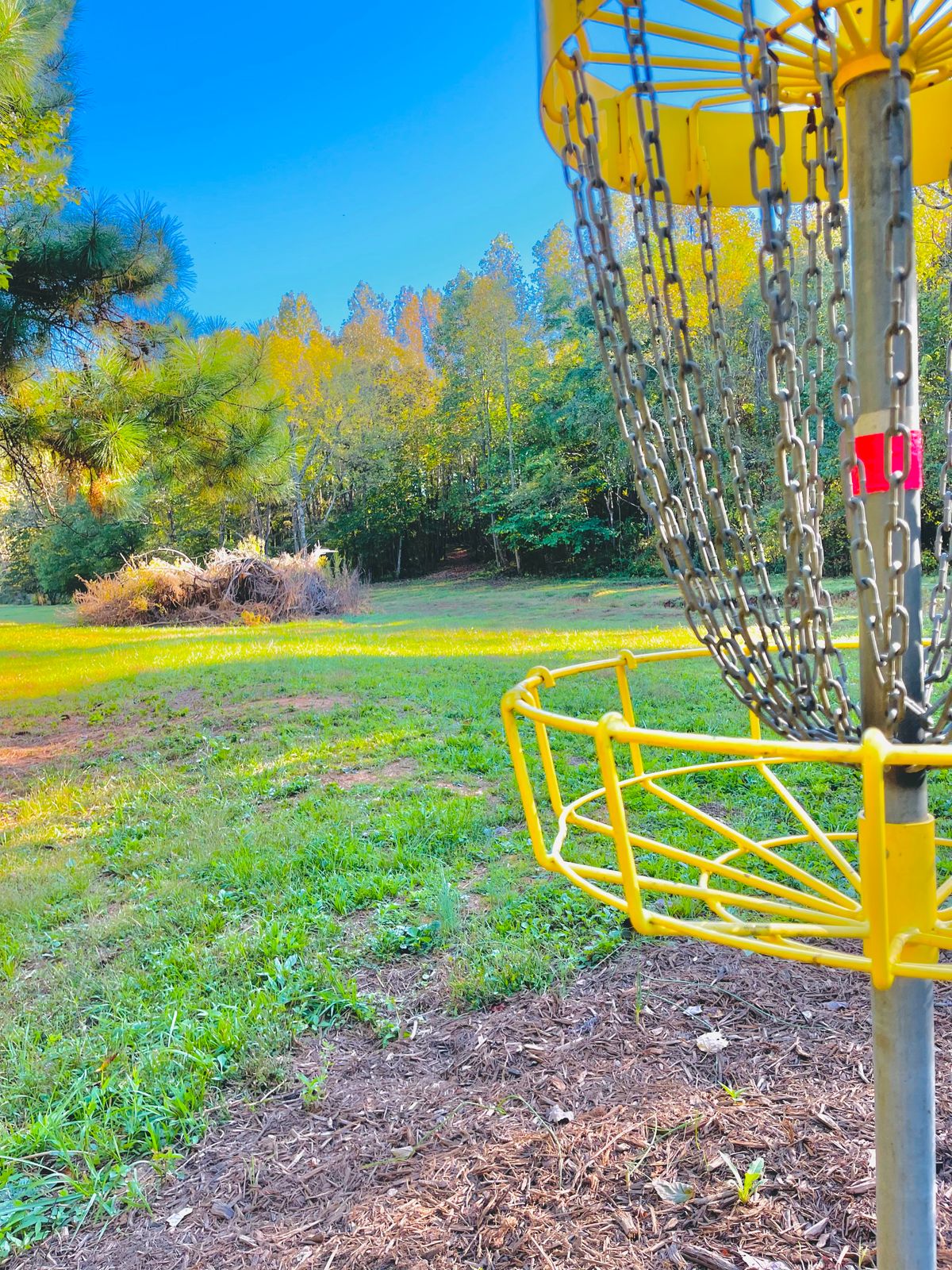 Hole 6 basket looking back to tee pad