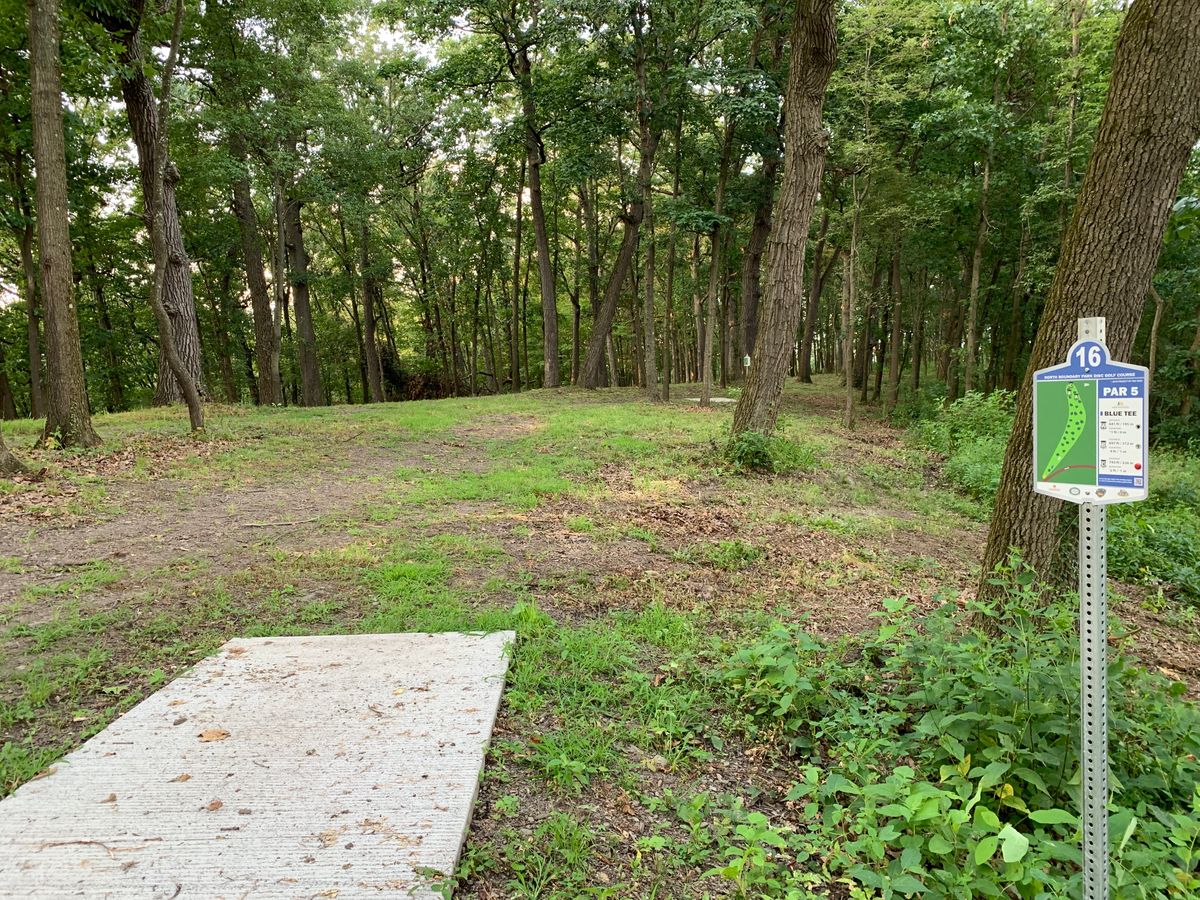 Hole 16 blue tee