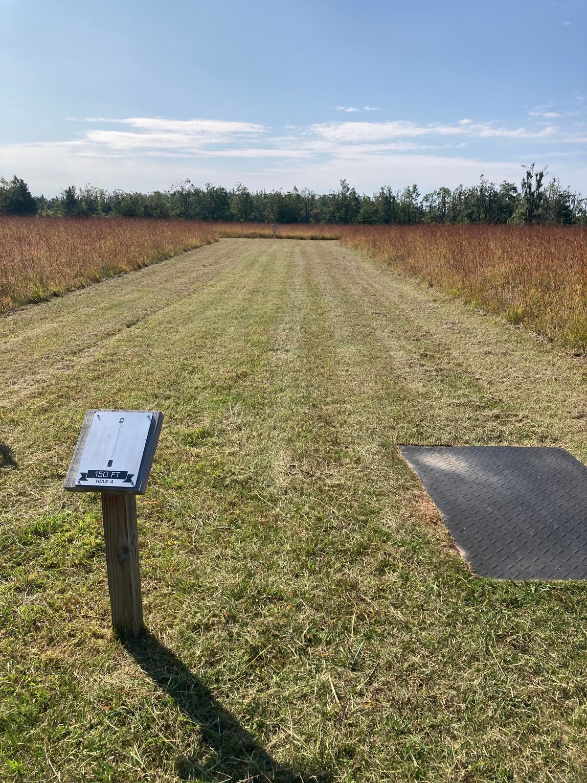 Hole 4 tee towards basket.