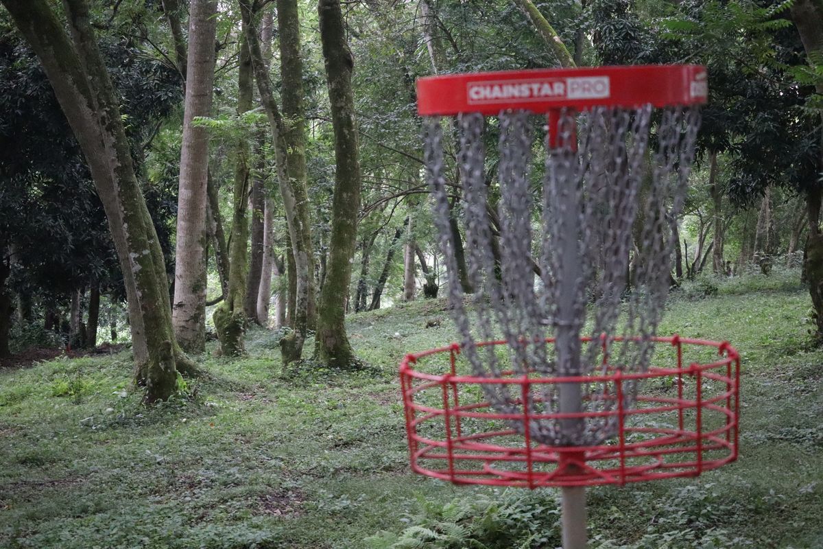 Hole 12 Basket