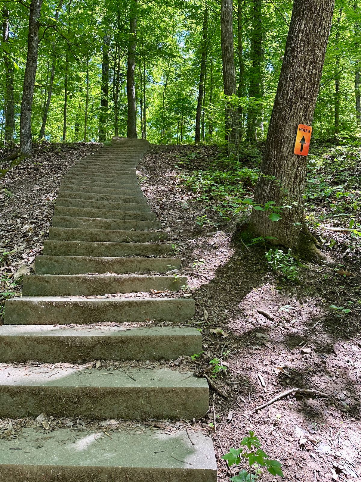 Stairs on way to hole 8