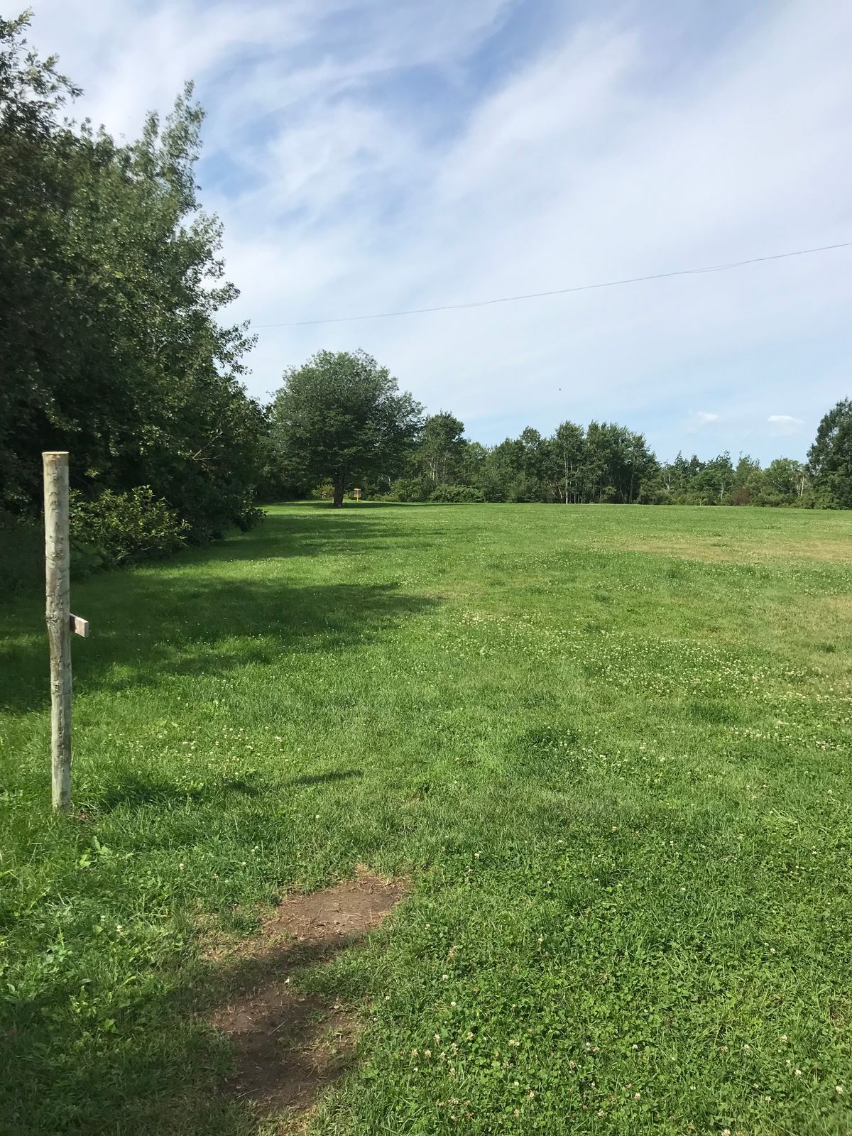 Hole 3 Tee