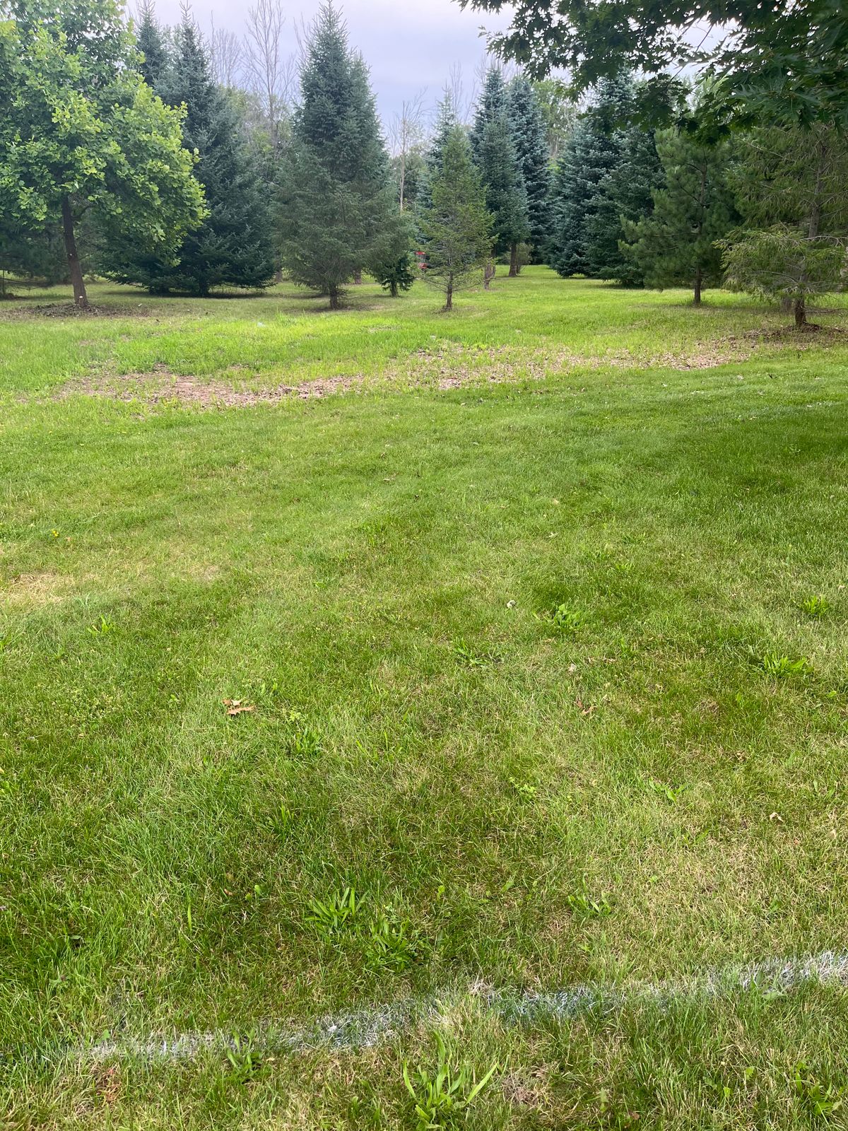Hole #1 White Tee