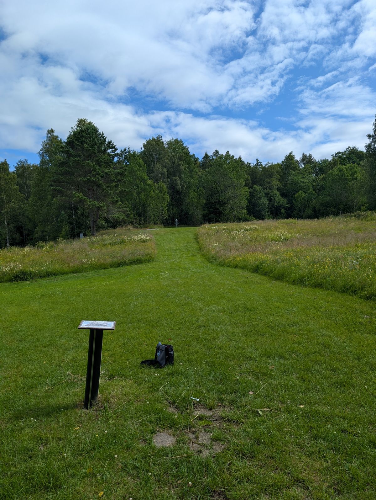 Dåliga teepads