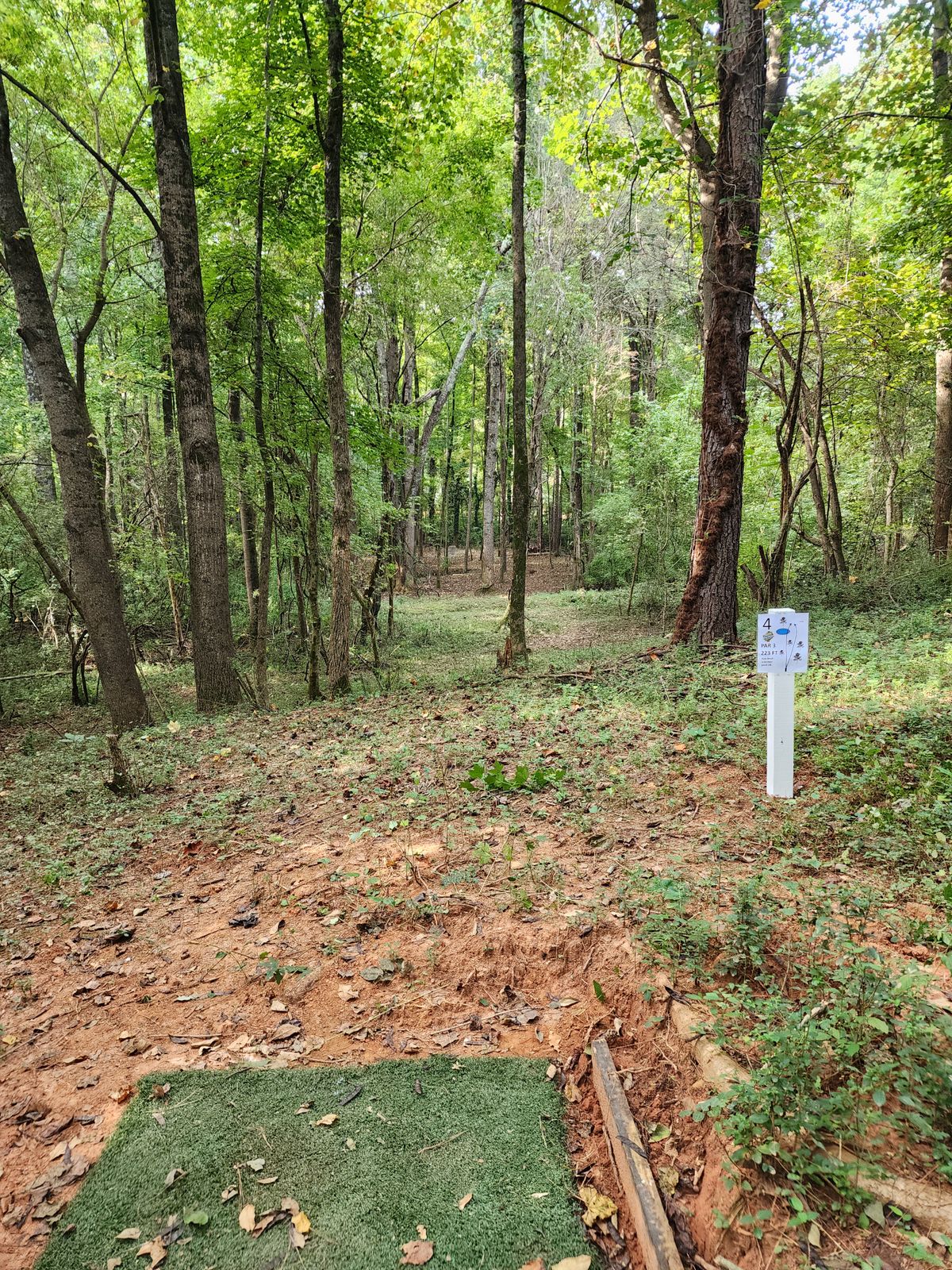 Hole 4 tee