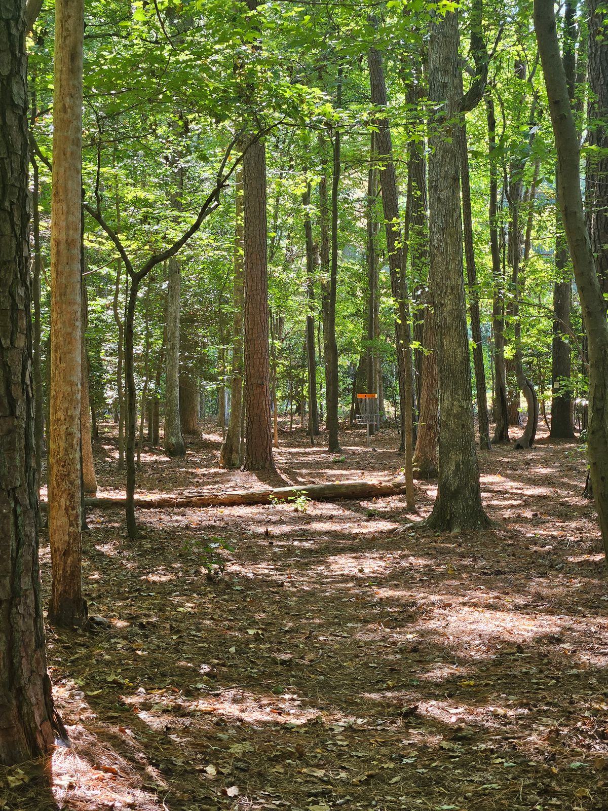 The gap on hole 2