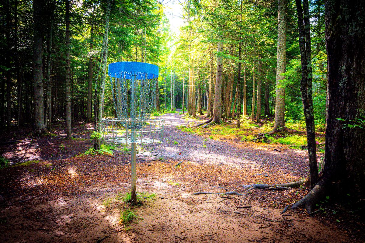 Hole 17 Basket looking towards tees. 