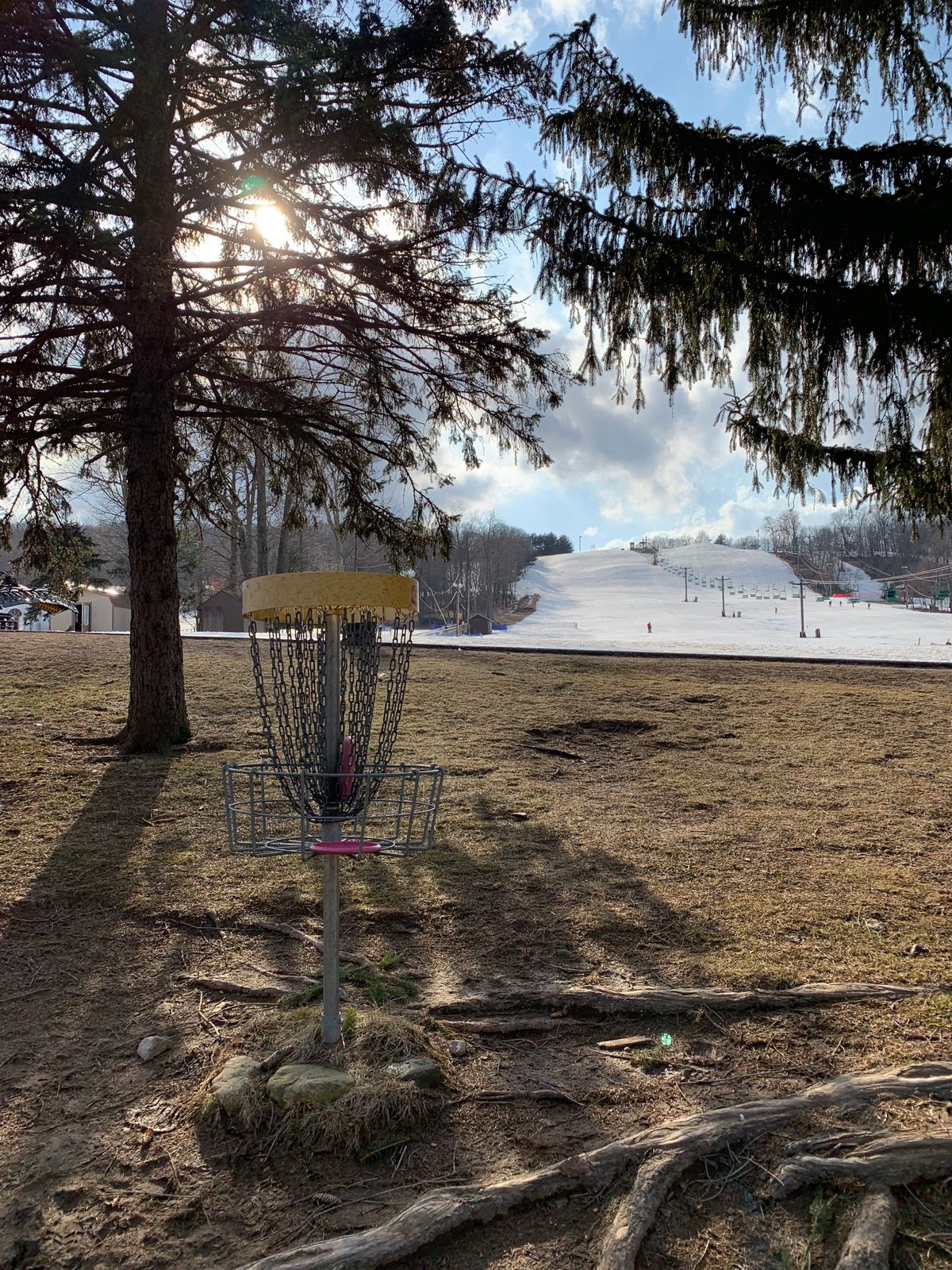 Hole 18 Mighty Gaw (Black / Par 5) Basket Looking Back Up The Fairway