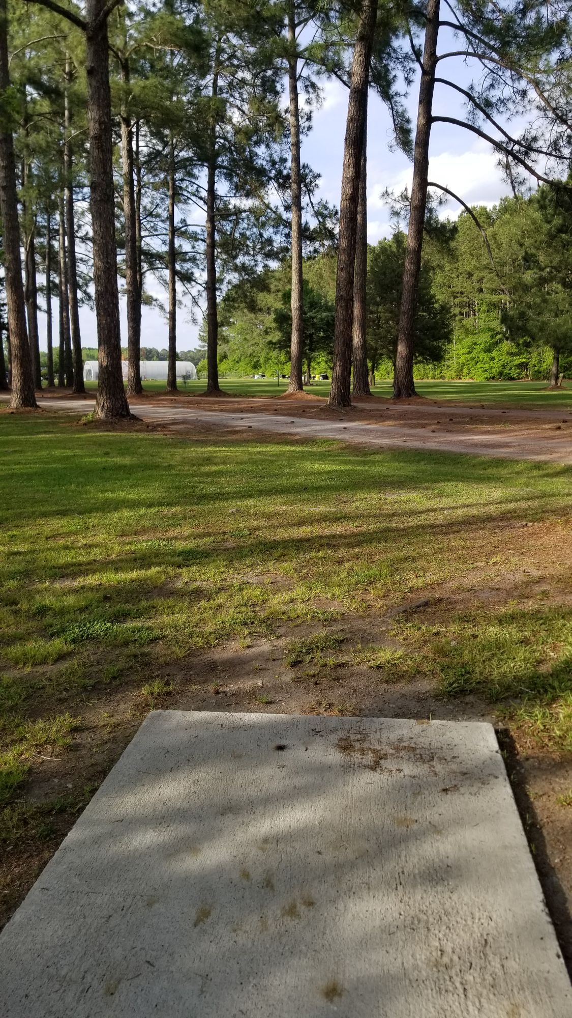 Hole 7