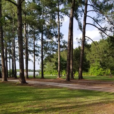 Hole 7