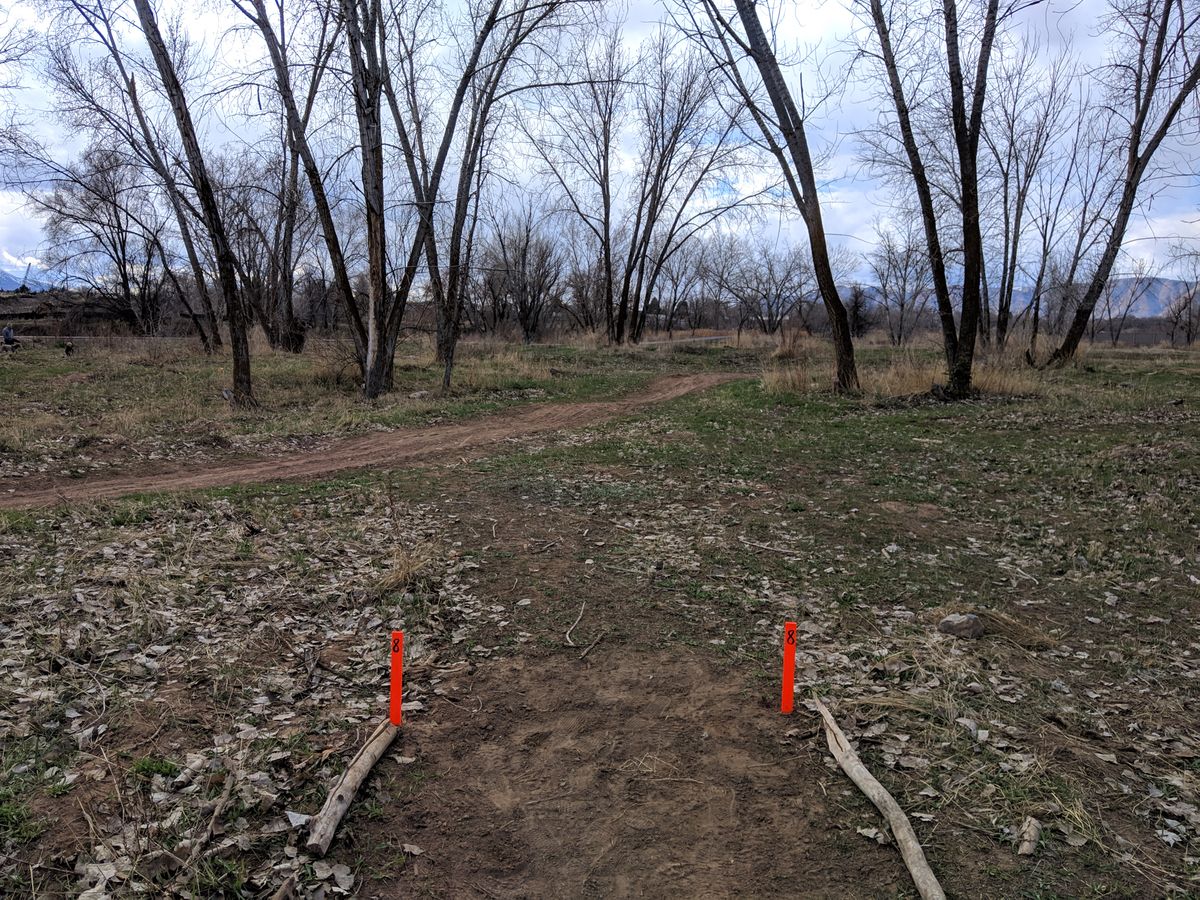 Hole #8 Tee