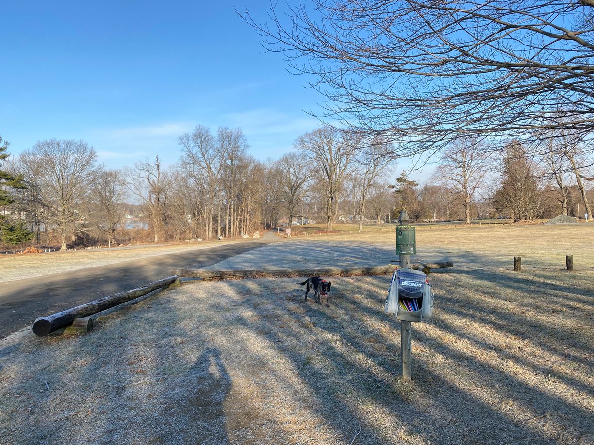 Original #5, unplayable — basket has been removed.