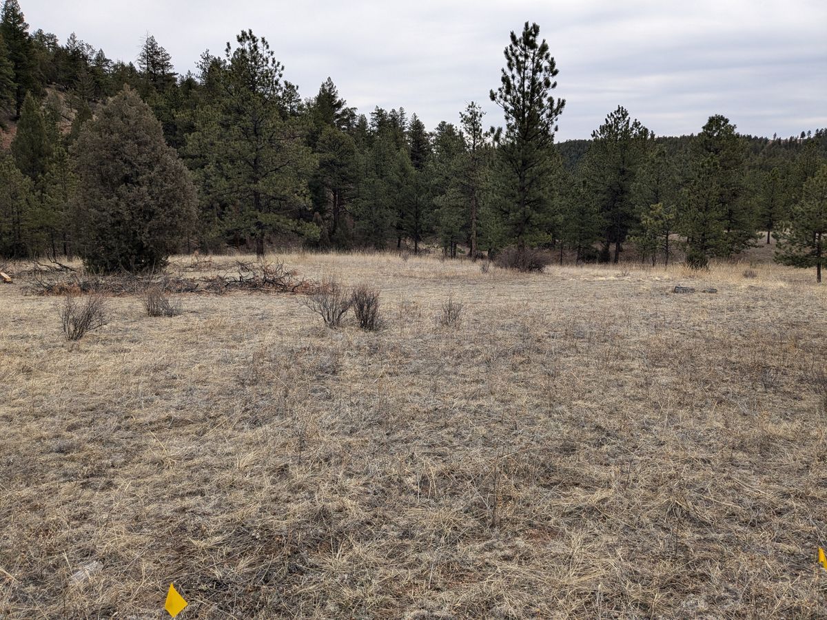 Fairway to #13 which is located in the lowest point of the canyon
