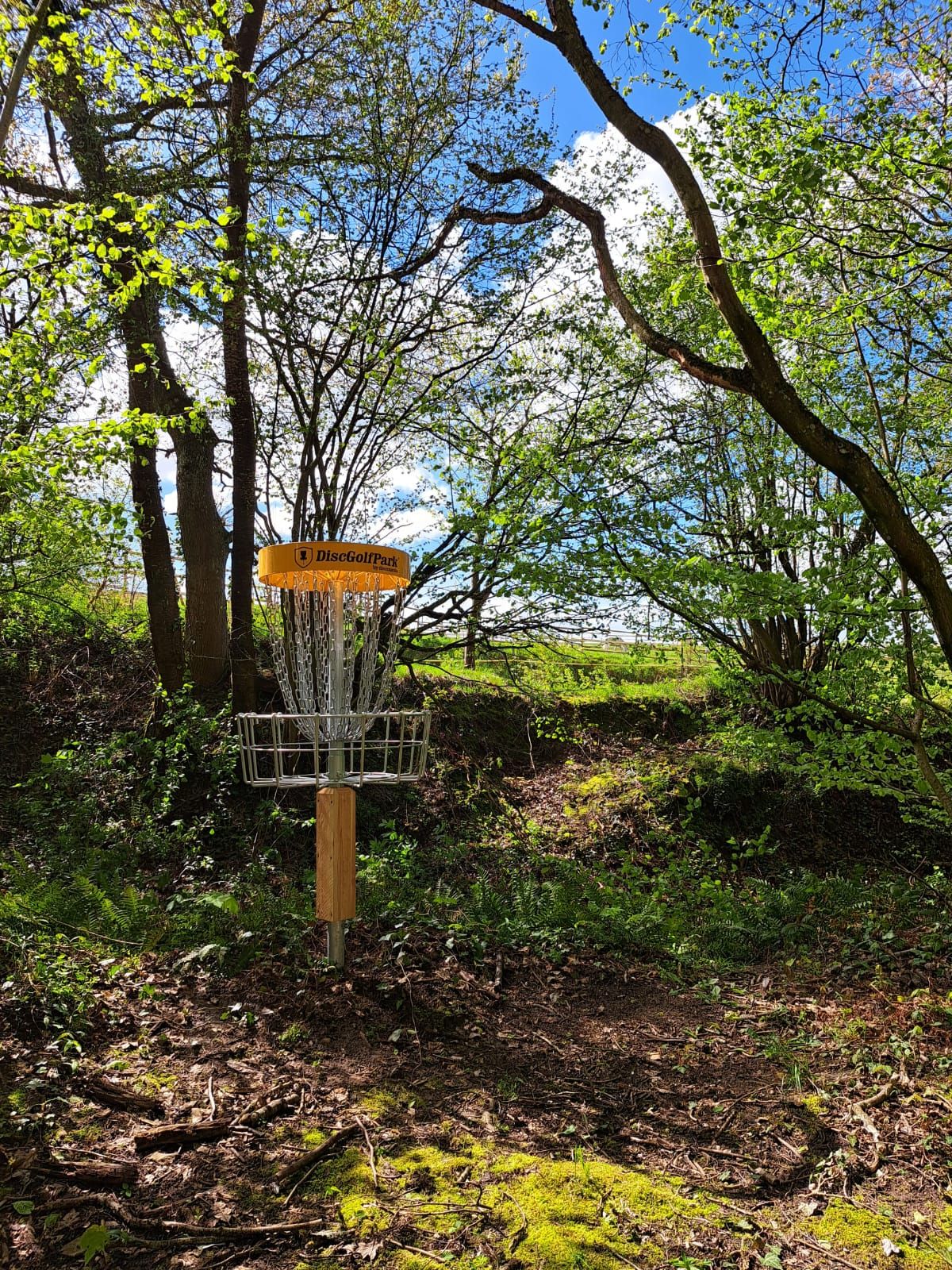 Basket for hole 6 (April 2024)