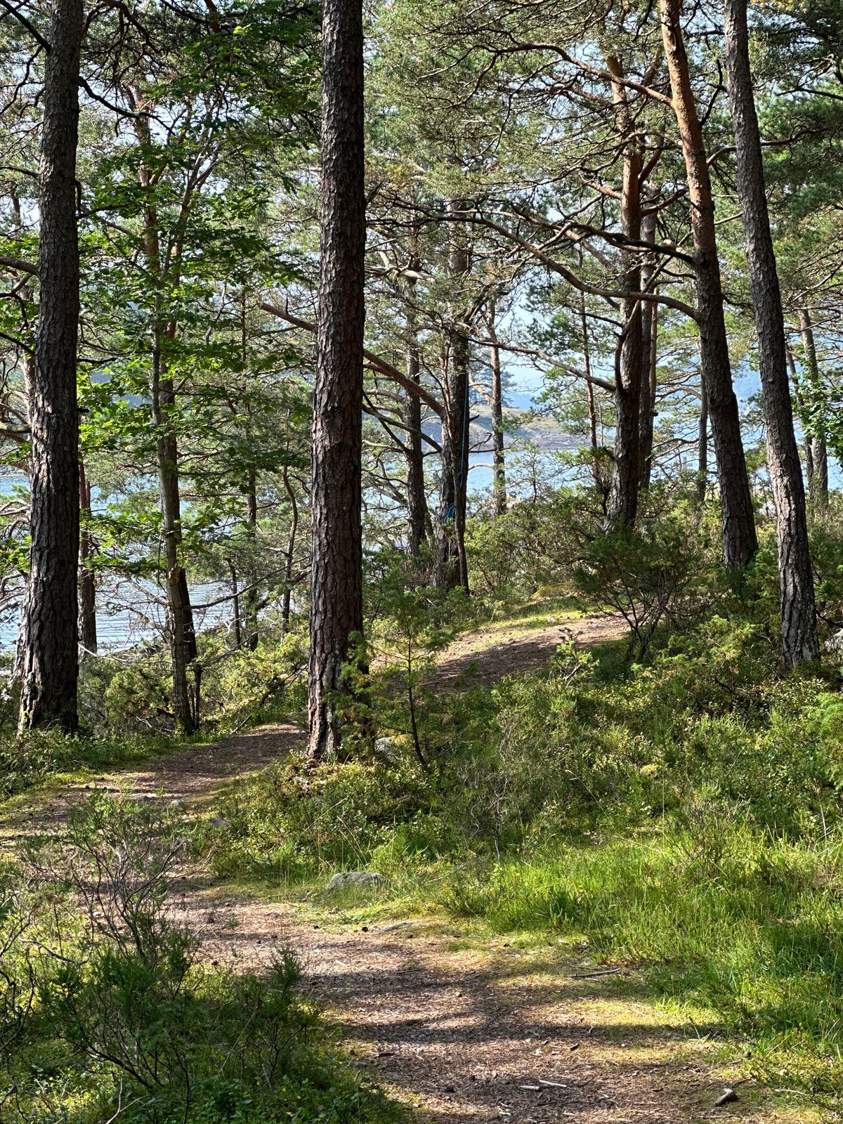 Sti rundt banen