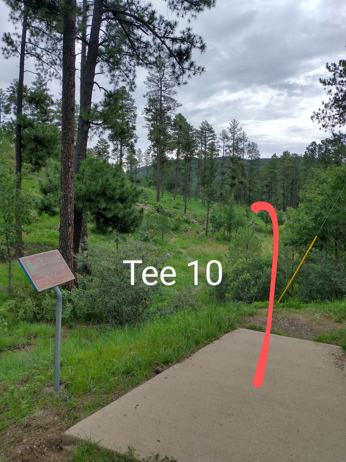 Tee 10, curves over the hill by the road.