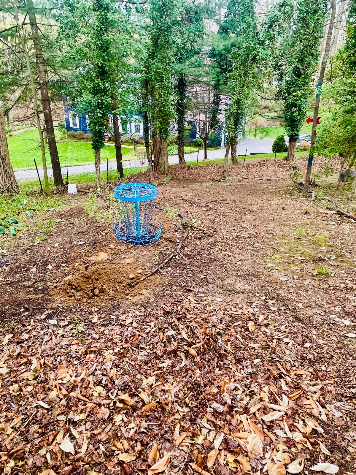 **NEW**Alternate basket Hole #14 (Main layout). 127 feet Par 3 w/ the Buddha/Zen garden as a hazard