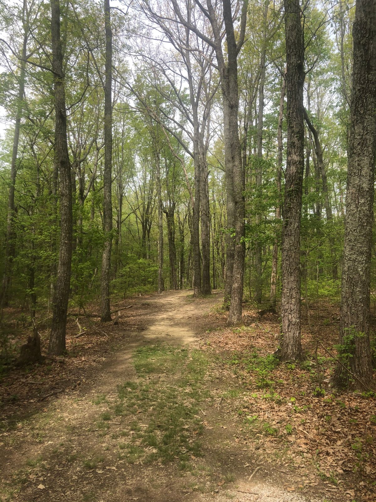 Hole 16