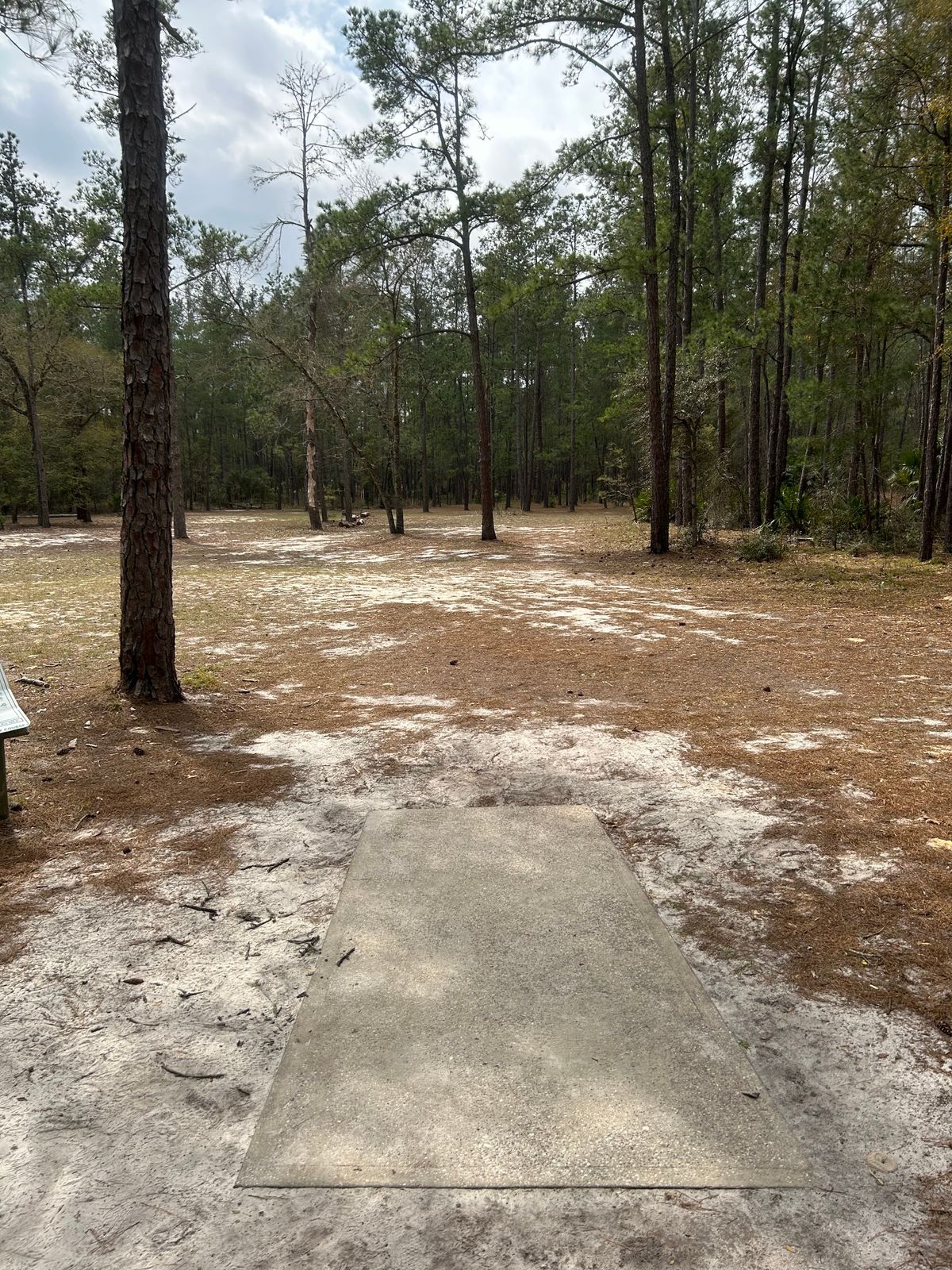#5 Tee (only pad)