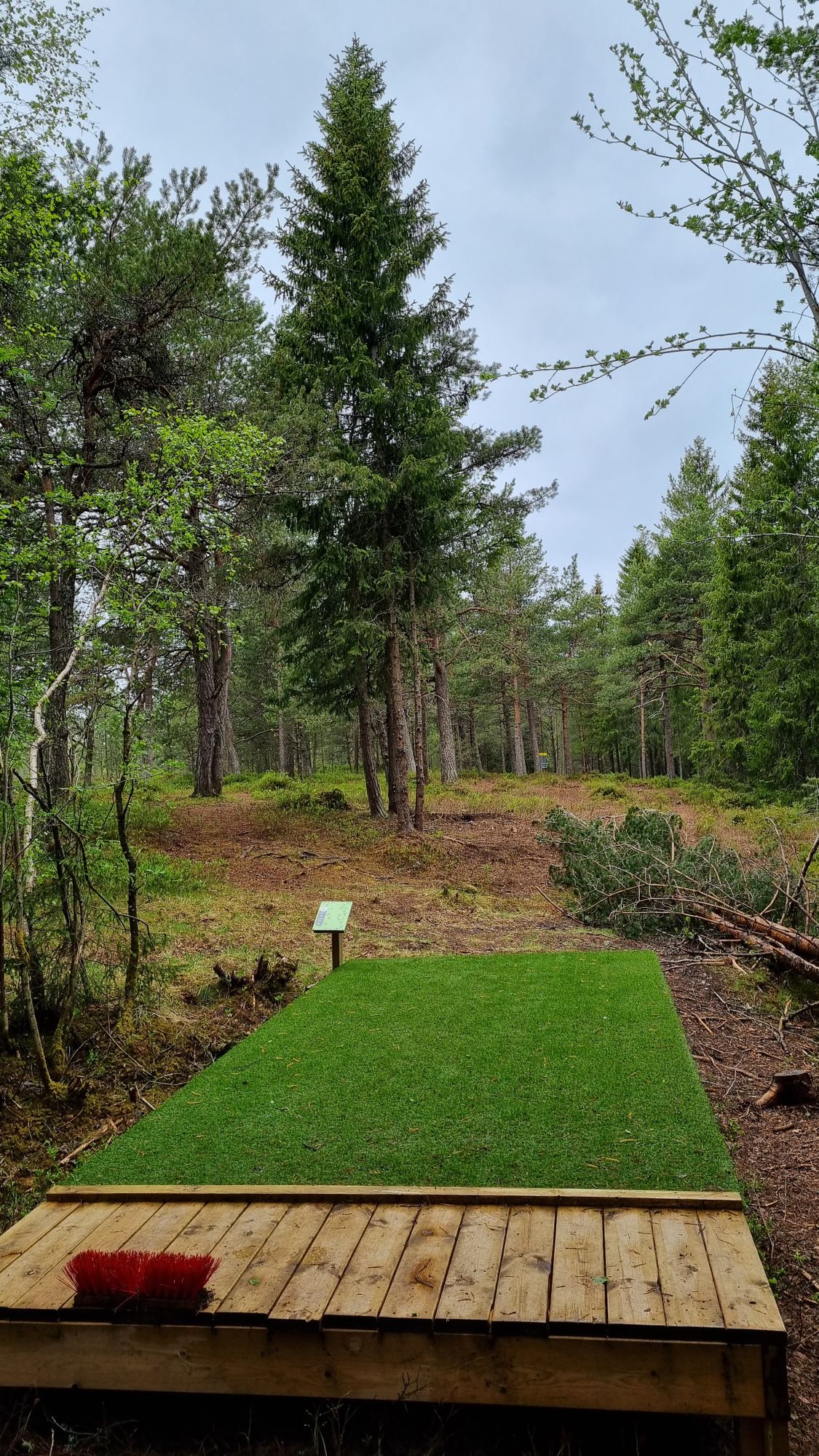 Tillerskogen hull 6, rød layout (kort).