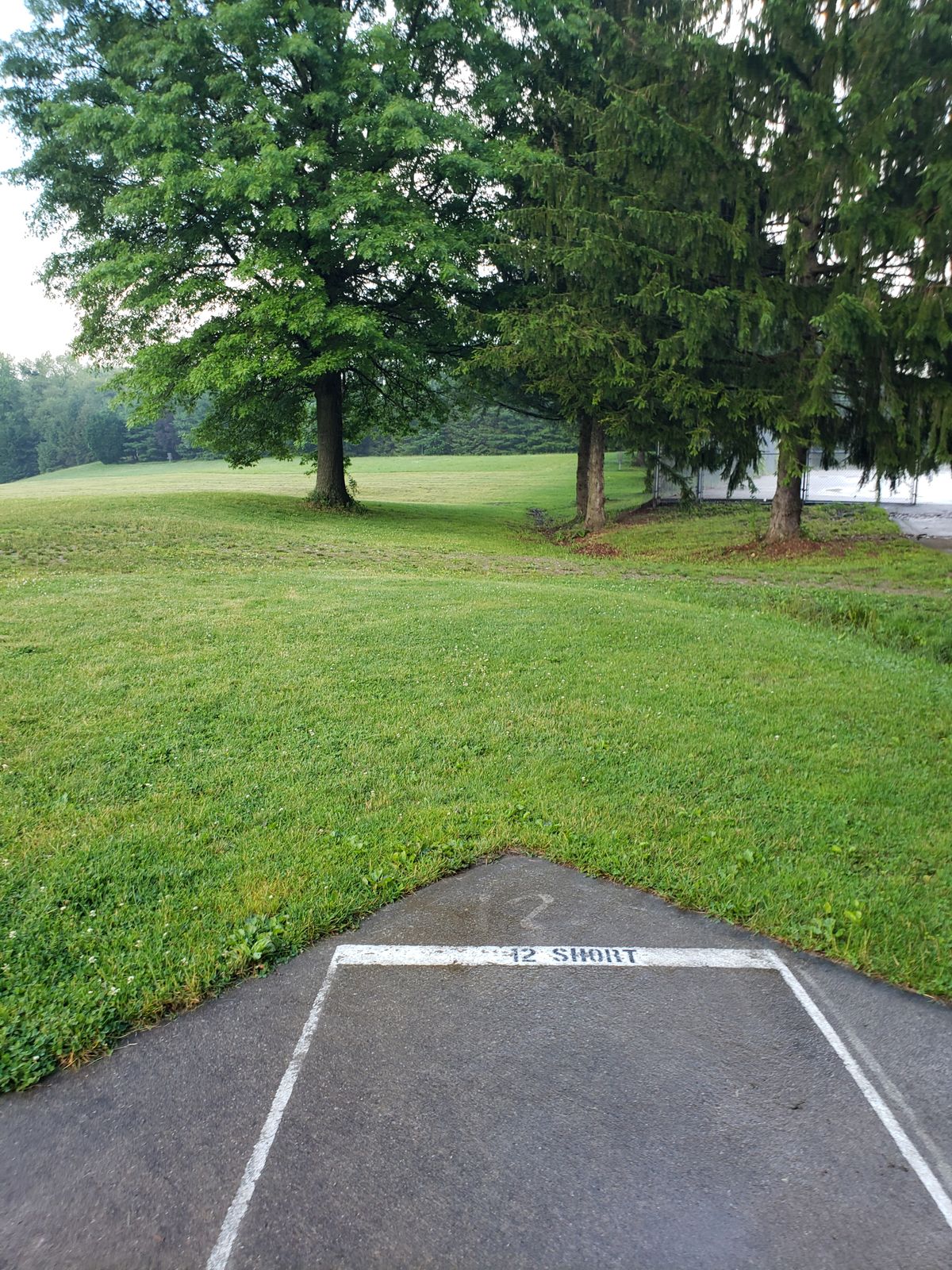 Hole 12 short teepad