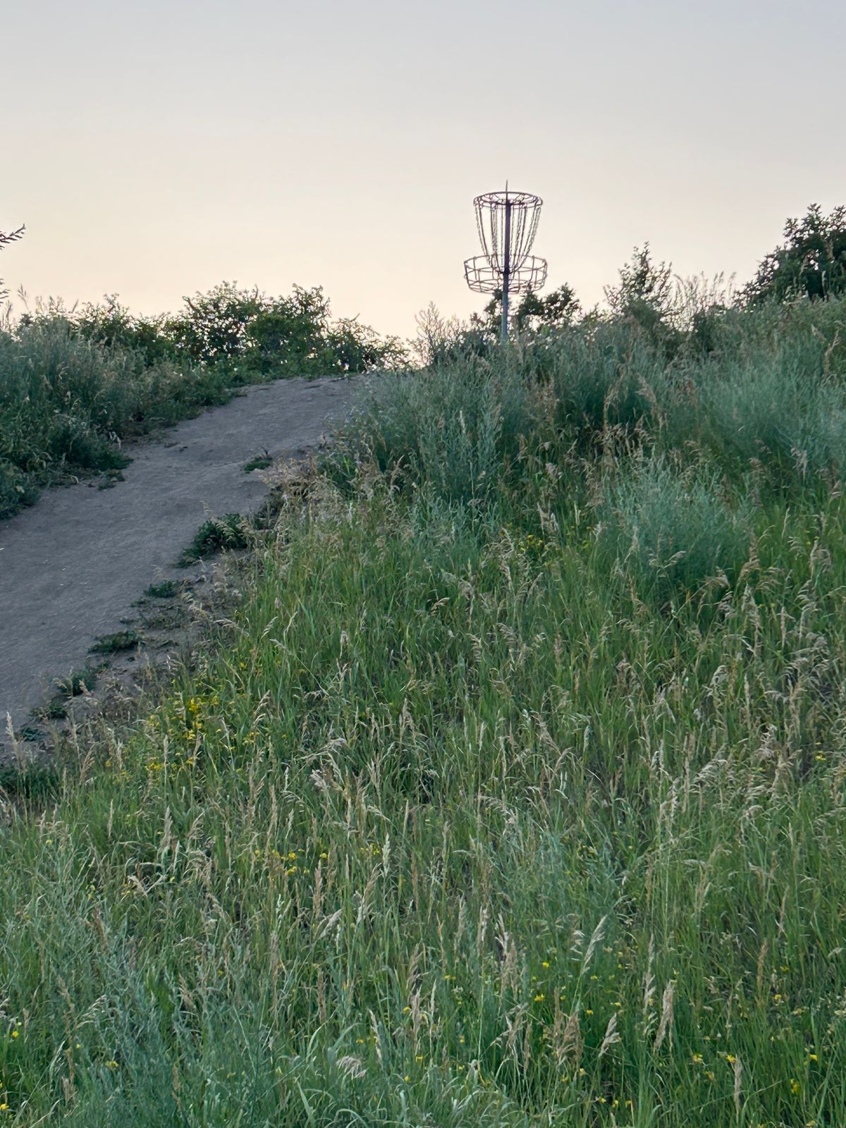 Tee box of 2, looking back at basket of hole 1.