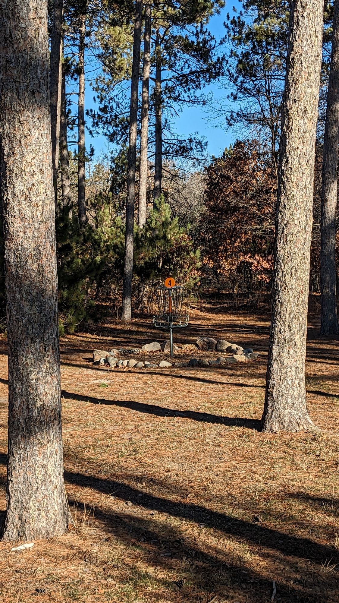 Hole 7 (old hole 4) on approach through the pines
