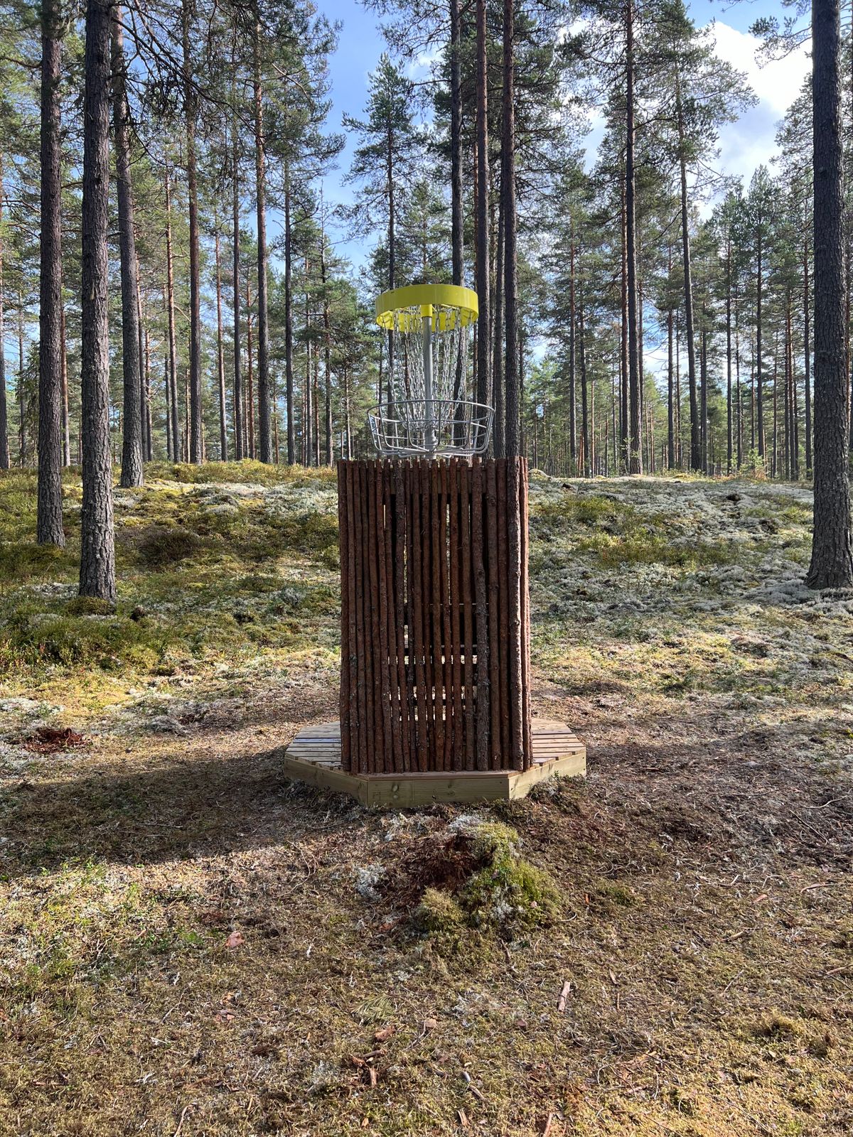 Upphöjd korg på hål 12