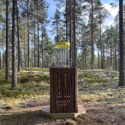 Upphöjd korg på hål 12