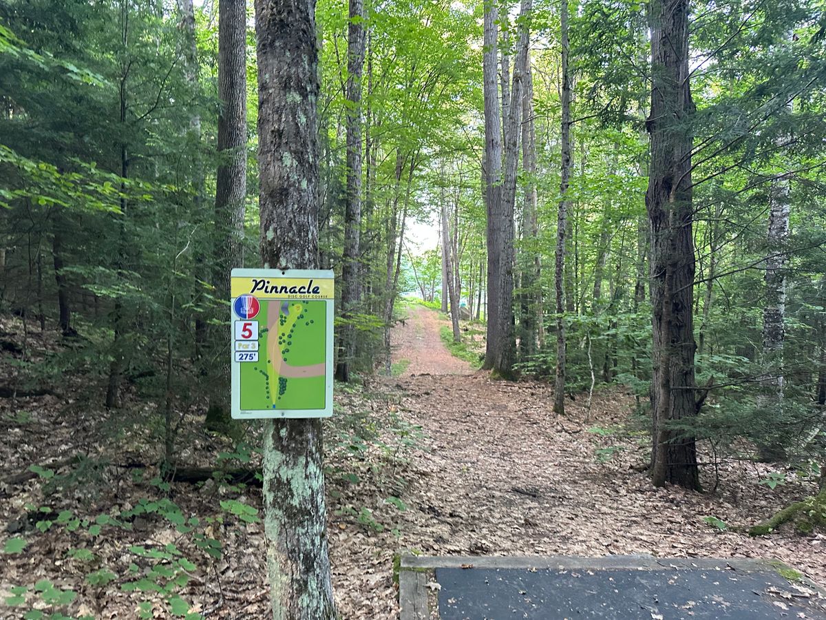 Tee pad 5